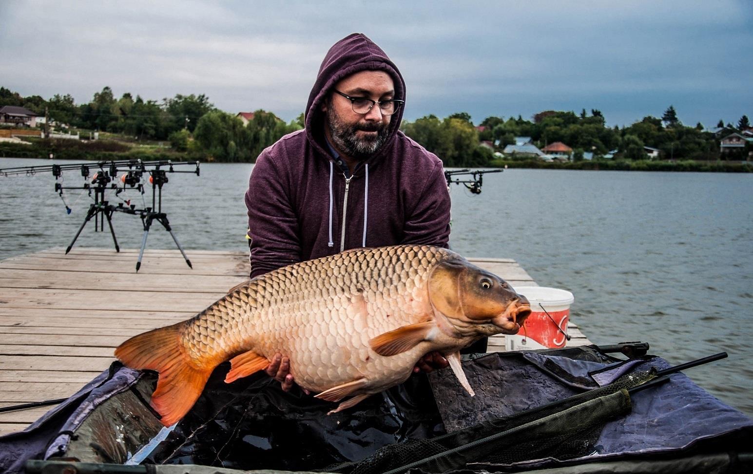 Expozitie de crapi pe Moara Vlasiei 2